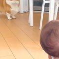 赤ちゃんを初めて目…
