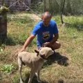 犬のネグレクトを繰…
