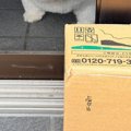 自宅警備犬が『お昼…