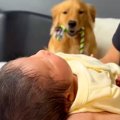 生まれたての赤ちゃ…