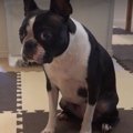 はやく～！ウマウマ…