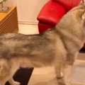 美味しいの？ママの…