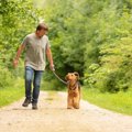 犬の散歩中の仕草で…