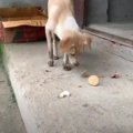 ロックダウンの影響…