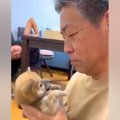 『３番目の孫』とし…