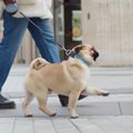 太りやすいと言われ…