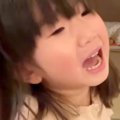 3歳の女の子が犬に手…