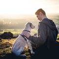 犬が『懐いてくれな…