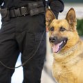 警察犬訓練士になる…