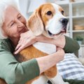 犬が人を好き嫌いす…