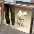 空港で12日ぶりに愛…