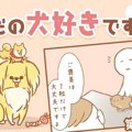 ただの犬好きです。…
