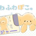 ふわふわぽこ。【第8…