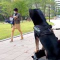 犬は『髪型を変えた…