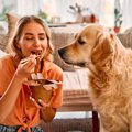 犬が自分のことを『…