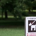 犬のウンチを道に放…