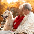 犬の飼い主が高齢に…