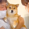 犬が『お母さんに叱…