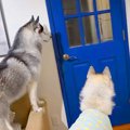 甥っ子が家に遊びに…