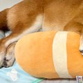 家にいる高校生の息…