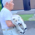 段差を下りるのが辛…