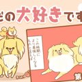 ただの犬好きです。…