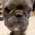 足を拭くのが苦手な…
