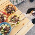 犬が好きな食べ物の…