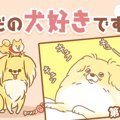 ただの犬好きです。…