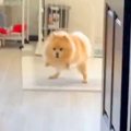 外出しようとしたら…