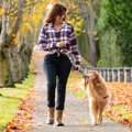犬と一緒に散歩する…