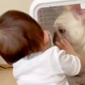 赤ちゃんが『箱の中…