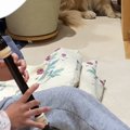子どもが犬の前で『…