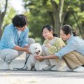 共働きの家庭で犬を…