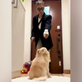 『散歩帰りの犬の足…