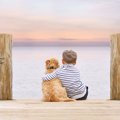 『優しい性格の犬種…