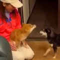 京都で1泊2日の旅へ→…