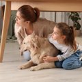 愛犬を守るために知…