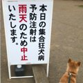 【大人気】助かった……
