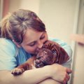 犬とのハグでストレ…