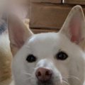 あーずるいー！抗議…