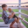 あるある！？犬が好…