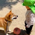 ２歳の小さな子ども…