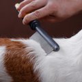 犬のブラッシングの…