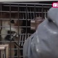 家族全員が咬まれた……