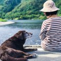 老犬介護のノウハウ…