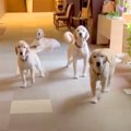老人ホームで働くセ…