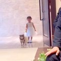 小さな女の子と犬が…