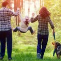 犬との生活は良い事…