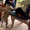 『お父さんはボクが…